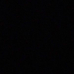 Meet your Posher, Gracie